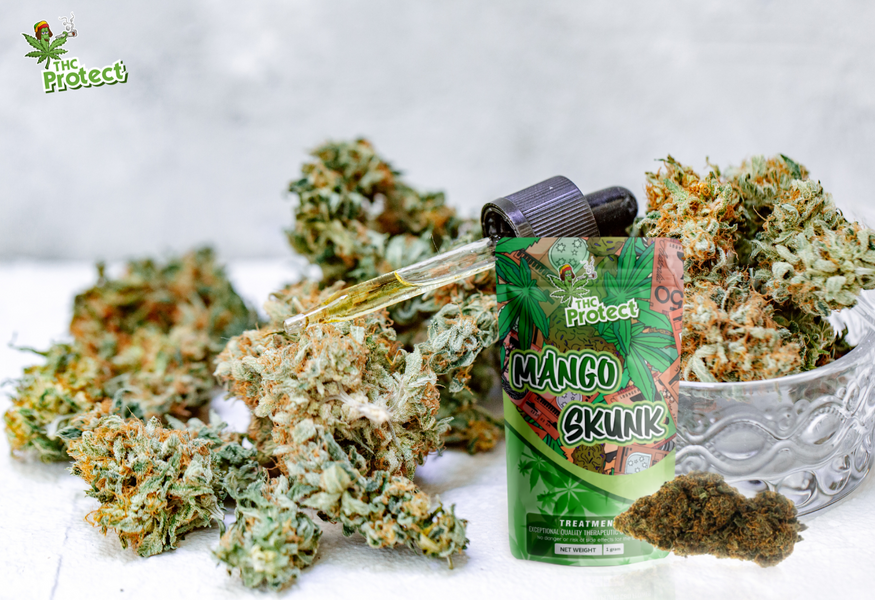 Odkryj wyjątkową moc kwiatu CBD Mango Skunk