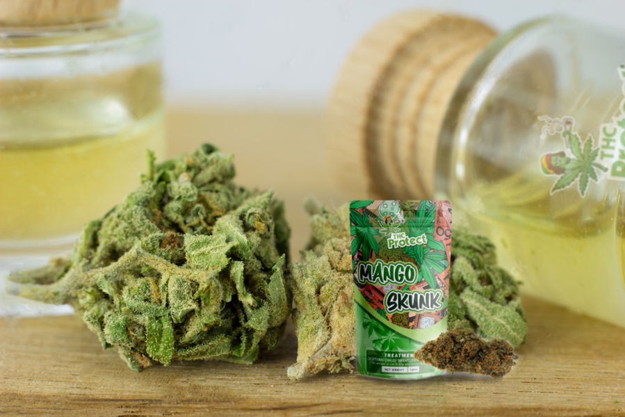 Flor Mango Skunk CBD: Avaliações e conselhos