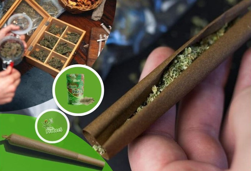 Quem deve consumir a resina de cannabis Moon Rocks?