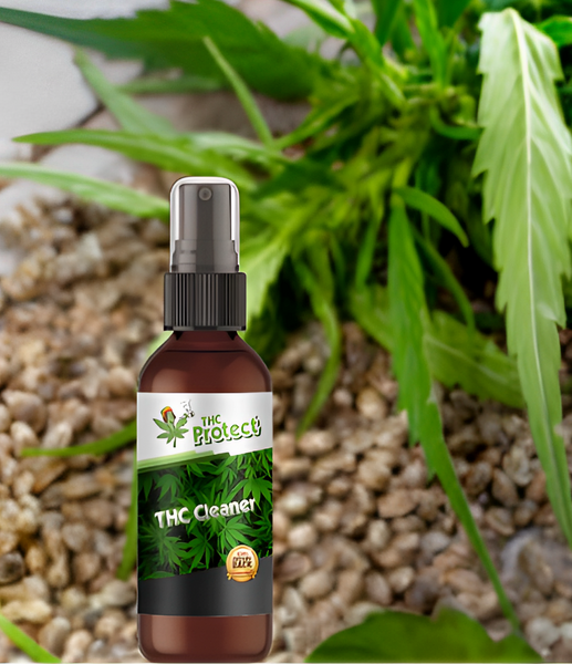 Spray anti-THC: uma solução eficaz para passar no teste de saliva?