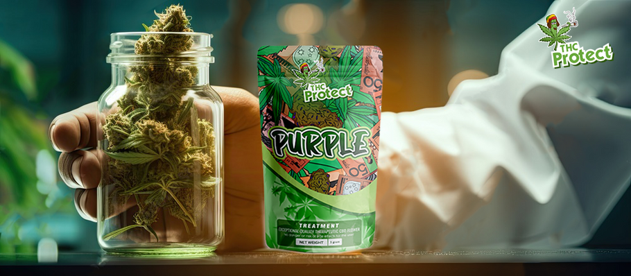 Como usar flores Purple CBD?