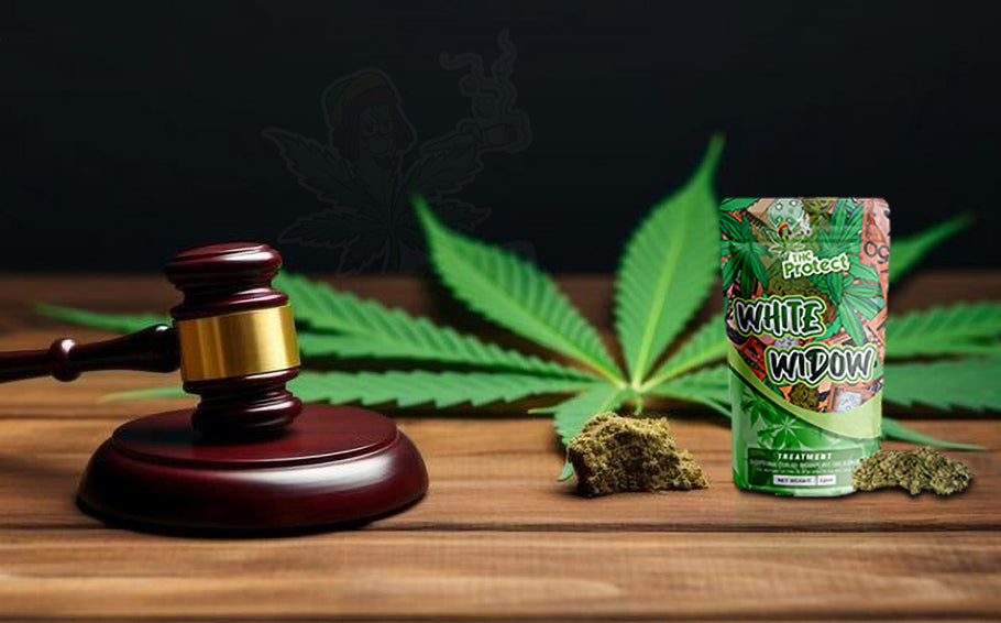 White Widow CBD: A flor legal de canabidiol para o bem-estar natural