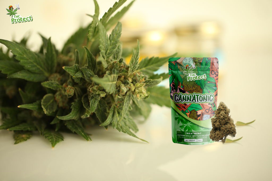 Os benefícios das flores Cannatonic CBD para a saúde e o bem-estar